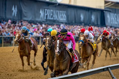 preakness stakes 2023 entries|Preakness Stakes 2024 .